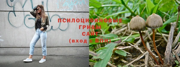 гидропоника Арсеньев