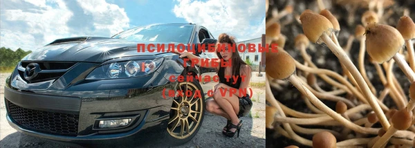 гидропоника Арсеньев