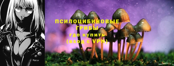 гидропоника Арсеньев