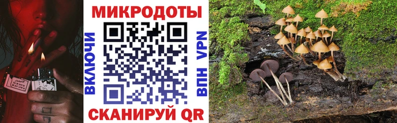 Галлюциногенные грибы Cubensis  Сосновка 